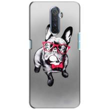 Чохол (ТПУ) Милі песики для Realme X2 Pro – Бульдог в окулярах