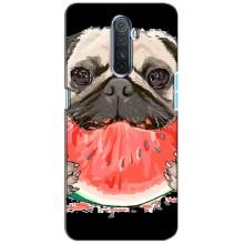 Чохол (ТПУ) Милі песики для Realme X2 Pro – Смішний Мопс