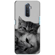 Чехол с рисунком кот на Realme X2 Pro (Пара котов)