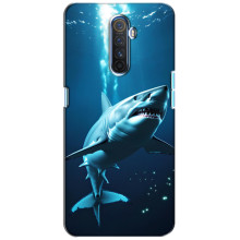 Чохол з картинкою 'Хижаки' для Realme X2 Pro (Акула)