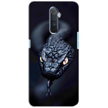 Чохол з картинкою 'Хижаки' для Realme X2 Pro (Змія)