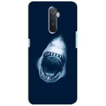 Силиконовый бампер с картинкой животных для Realme X2 Pro (Пасть Акулы)