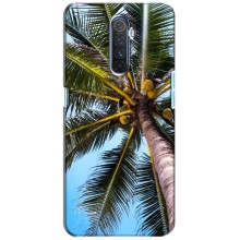 Силиконовый чехол с КАРТИНКАМИ лето для Realme X2 Pro (AlphaPrint) (Пальма)
