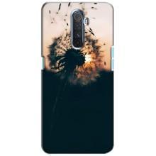 Силіконовий Чохол з кульбабками на Realme X2 Pro – Гарна кульбабка