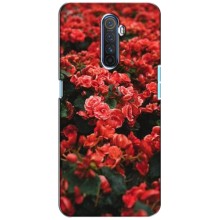 Чехлы с Цветами для Realme X2 Pro (VPrint) (Цветы красные)