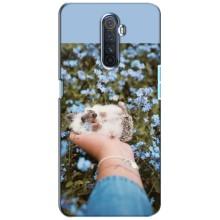 Чехлы с изображением разных животных для Realme X2 Pro (Ежик на руках)