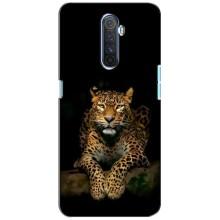 Чехлы с изображением разных животных для Realme X2 Pro (Стильный Леопард)
