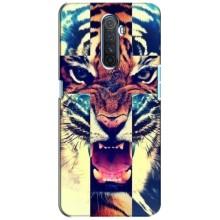 Чехлы с изображением разных животных для Realme X2 Pro (Яркий Тигр)