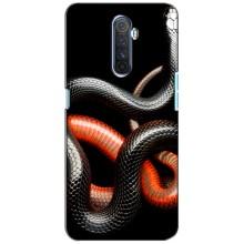 Чехлы с изображением разных животных для Realme X2 Pro (Змея)