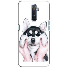 Чехол с Хаски для Realme X2 Pro - (AlphaPrint) (Хаски улыбака)