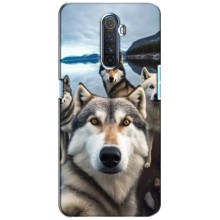 Чехол с Хаски для Realme X2 Pro - (AlphaPrint) (Селфи ХАски)