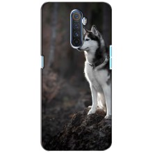 Чехол с Хаски для Realme X2 Pro - (AlphaPrint) (Верный пес)
