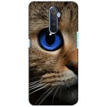 Чехлы с Котиками для Realme X2 Pro (VPrint) (Глаз кота)