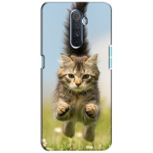 Чехлы с Котиками для Realme X2 Pro (VPrint) (Прыжок кота)