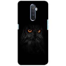 Чохли з принтом СОВИ для Realme X2 Pro (Сова на чорному)