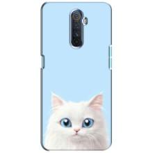 Чохол на тематику: Коти для Realme X2 Pro (Білий кіт)