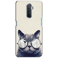 Чохол на тематику: Коти для Realme X2 Pro (Модний кіт)