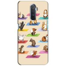 Чехол с Прикольным принтом на Realme X2 Pro (Ёга свинок)