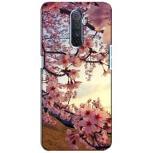 Чехол с принтом САКУРЫ на Realme X2 Pro (Цветущая сакура)