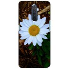 Чохол з ромашками на Realme X2 Pro (Біла ромашка)