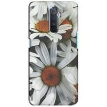 Чохол з ромашками на Realme X2 Pro (Квіти Ромашки)