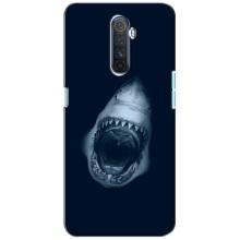 Силиконовый бампер с картинкой животных для Realme X2 Pro (Пасть Акулы)
