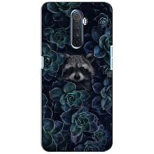 Силиконовый Чехол с Енотами на Realme X2 Pro (В цветах)