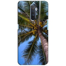 Силиконовый чехол с КАРТИНКАМИ лето для Realme X2 Pro (AlphaPrint) (Пальма)