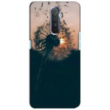Силіконовий Чохол з кульбабками на Realme X2 Pro (Гарна кульбабка)