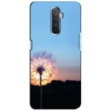 Силіконовий Чохол з кульбабками на Realme X2 Pro (Захід з кульбабкою)