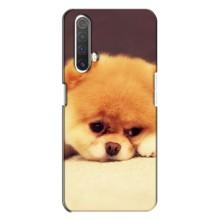 Чохол (ТПУ) Милі песики для Realme X3 – Померанский шпіц