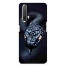 Чехол с картинкой «Хищники» для Realme X3 – Змея