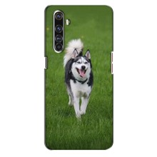 Чехол с Хаски для Realme X50 Pro - (AlphaPrint) (Радостный Хаски)