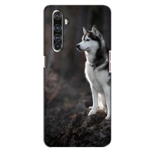 Чехол с Хаски для Realme X50 Pro - (AlphaPrint) (Верный пес)