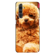 Чохли з собаками для Realme X50 Pro (VPrint) (Цуценя Бішон)