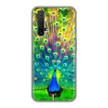Чехол с птицами на Realme X50 (VPrint) (Яркий Павлин)