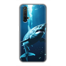 Чехол с картинкой «Хищники» для Realme X50 (Акула)