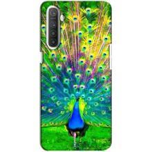 Чехол с птицами на Realme XT (VPrint) (Яркий Павлин)