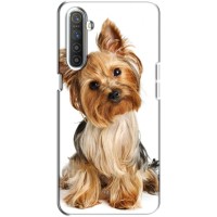 Чехол (ТПУ) Милые собачки для Realme XT – Собака Терьер