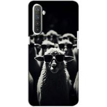 Чехол с принтом стильные животные для Реалми ХТ (Овечка в очках)