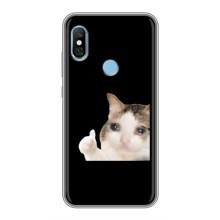 Бампер з принтом Меми для Xiaomi Redmi 6 pro – Кіт у сльозах