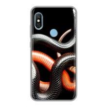 Чохли з зображенням різних тварин на Xiaomi Redmi 6 pro (Змія)