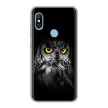 Чехлы с принтом СОВЫ для Xiaomi Redmi 6 pro – Сова на чёрном