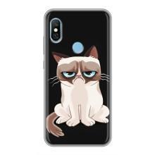 Чехол на тематику: Коты для Xiaomi Redmi 6 pro – Взгляд кота