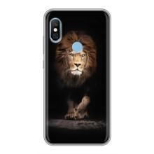 Чехол с картинкой на Xiaomi Redmi 6 pro – Красивый Лев