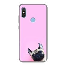 Бампер для Xiaomi Redmi 6 pro з картинкою "Песики" (Собака на рожевому)