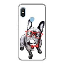 Бампер для Xiaomi Redmi 6 pro з картинкою "Песики" (В окулярах)