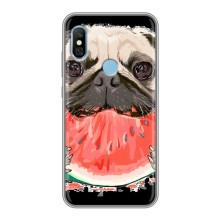 Чехол (ТПУ) Милые собачки для Xiaomi Redmi 6 pro – Смешной Мопс