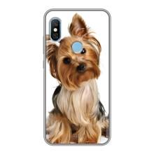 Чехол (ТПУ) Милые собачки для Xiaomi Redmi 6 pro – Собака Терьер