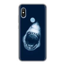 Силіконовий бампер з картинкою звірів для Xiaomi Redmi 6 pro – Пащу Акули